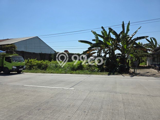 Tanah di Karangawen, Demak Luas 12876m2 Dijual Segera Tanah di Karangawen, Demak Luas 12876m2 Dijual Segera