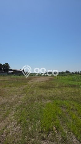 Tanah di Karangawen, Demak Luas 12876m2 Dijual Segera Tanah di Karangawen, Demak Luas 12876m2 Dijual Segera