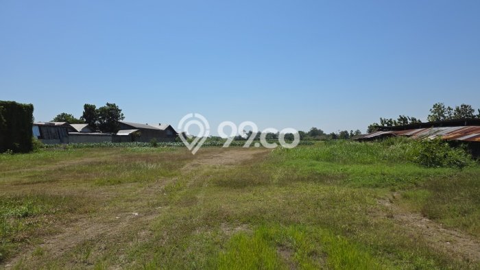 Tanah di Karangawen, Demak Luas 12876m2 Dijual Segera Tanah di Karangawen, Demak Luas 12876m2 Dijual Segera