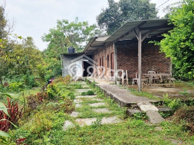 HARGA TERBAIK! Tanah di Kopeng, Luas 1212m², Akses Strategis, Cocok untuk Hunian HARGA TERBAIK! Tanah di Kopeng, Luas 1212m², Akses Strategis, Cocok untuk Hunian