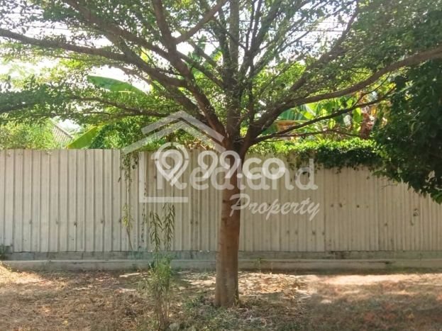Kavling Tanah untuk Disewa di Puri Anjasmoro Lahan Luas 1320m2 Kavling Tanah untuk Disewa di Puri Anjasmoro Lahan Luas 1320m2