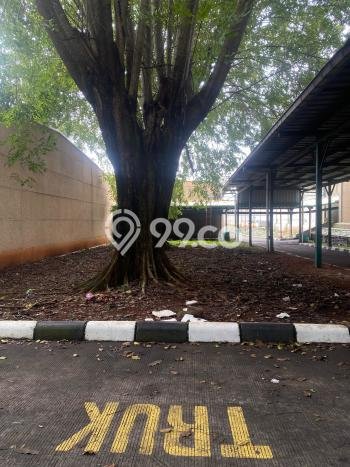 Disewakan Gudang di Subang Subang LT 10000m2, LB 4320m2 Disewakan Gudang di Subang Subang LT 10000m2, LB 4320m2