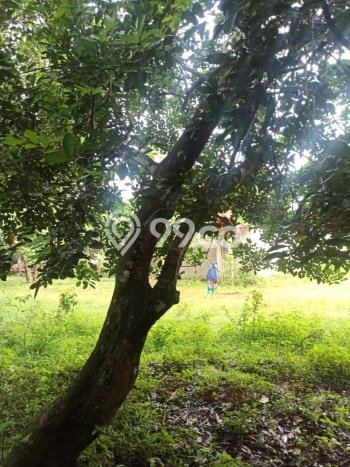 Tanah untuk Dijual di Bekasi Timur Bekasi Luas 512m2 Tanah untuk Dijual di Bekasi Timur Bekasi Luas 512m2