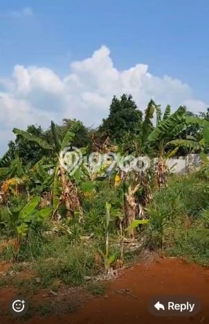 Tanah Dijual Lokasi Cariu Bogor SHM Tanah Dijual Lokasi Cariu Bogor SHM