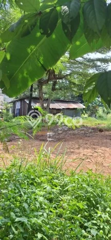 Kavling Tanah untuk Dijual di Cikaret, Bogor, Luas 1000m2 Kavling Tanah untuk Dijual di Cikaret, Bogor, Luas 1000m2