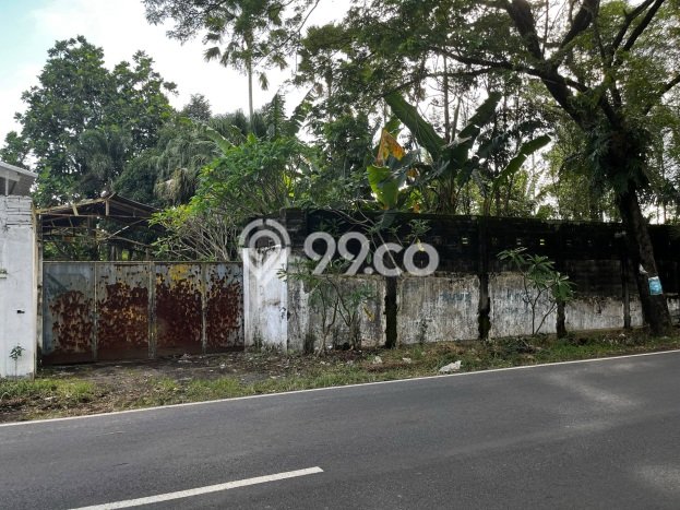 Untuk Disewa Gudang di Ajung Jember LT 5000m2, LB 350m2 Untuk Disewa Gudang di Ajung Jember LT 5000m2, LB 350m2