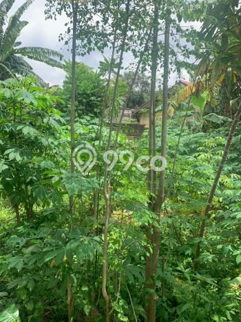 Tanah Kavling untuk Dijual di Pasar Rebo Jakarta Timur 2521m2 Tanah Kavling untuk Dijual di Pasar Rebo Jakarta Timur 2521m2