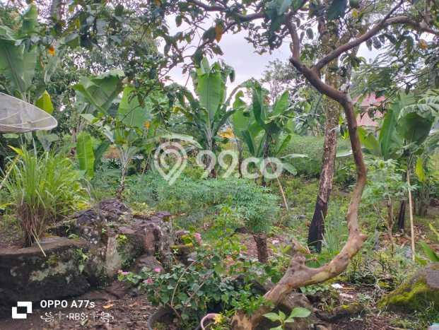 Tanah Strategis Dijual di Curup Rejang Lebong 4747m2 Tanah Strategis Dijual di Curup Rejang Lebong 4747m2