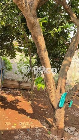 Dijual Tanah 140m2 di Jatimulya, Bekasi Dijual Tanah 140m2 di Jatimulya, Bekasi