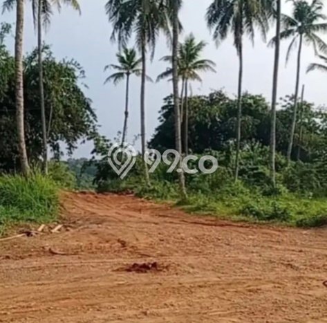 Kavling Tanah Dijual di Rumpin Bogor Spesifikasi 100000m2 Kavling Tanah Dijual di Rumpin Bogor Spesifikasi 100000m2