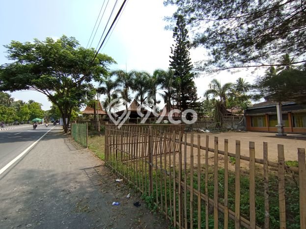 Tanah Dijual Lokasi Salam, Magelang Luas 1165m2 Legalitas Aman Tanah Dijual Lokasi Salam, Magelang Luas 1165m2 Legalitas Aman