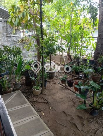 Jual Rumah Strategis Bagus Punya 3 KT di Kraton Yogyakarta SHM Jual Rumah Strategis Bagus Punya 3 KT di Kraton Yogyakarta SHM