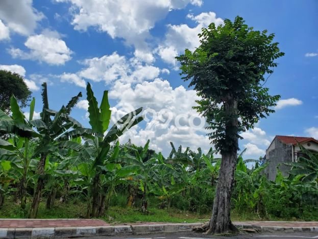 Kavling Tanah Dijual di Magelang Tengah, Magelang, Luas 1800m2 Area Strategis Kavling Tanah Dijual di Magelang Tengah, Magelang, Luas 1800m2 Area Strategis