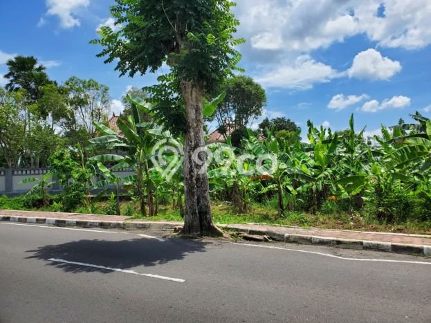 Kavling Tanah Dijual di Magelang Tengah, Magelang, Luas 1800m2 Area Strategis Kavling Tanah Dijual di Magelang Tengah, Magelang, Luas 1800m2 Area Strategis