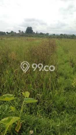 Jarang Ada! Tanah di Sewon Punya Luas 640m2 SHM Jarang Ada! Tanah di Sewon Punya Luas 640m2 SHM