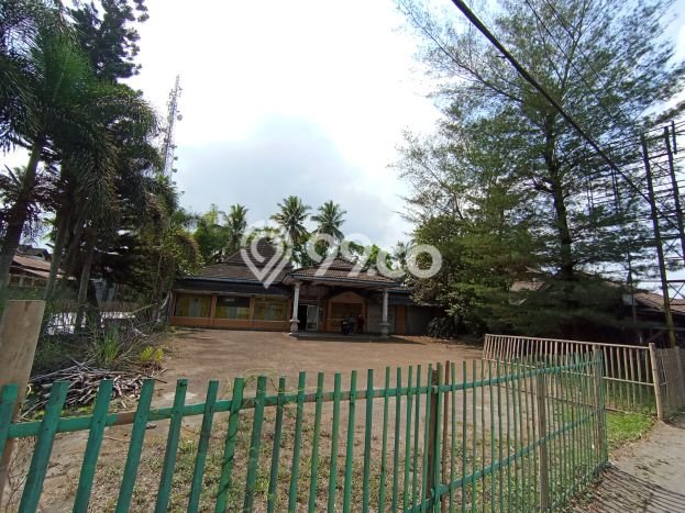 Tanah Dijual Lokasi Salam, Magelang Luas 1165m2 Legalitas Aman Tanah Dijual Lokasi Salam, Magelang Luas 1165m2 Legalitas Aman