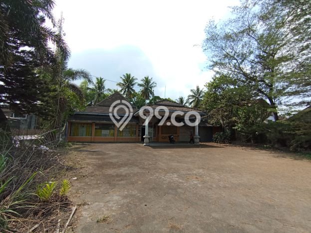 Tanah Dijual Lokasi Salam, Magelang Luas 1165m2 Legalitas Aman Tanah Dijual Lokasi Salam, Magelang Luas 1165m2 Legalitas Aman