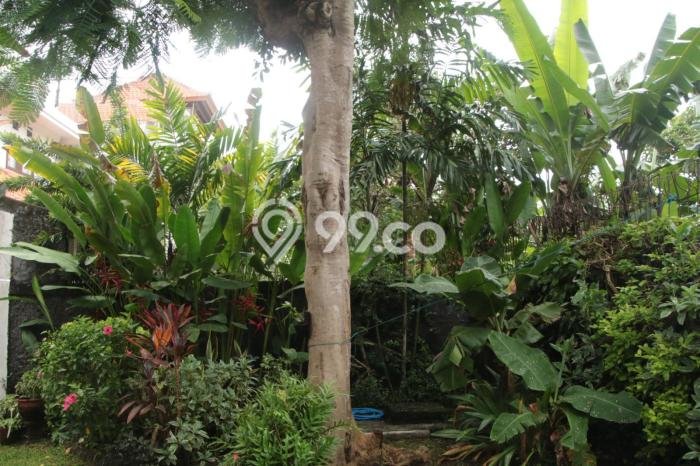Kesempatan Langka Memiliki Rumah 4 KT 7 KM di Jantung Kota , Badung Kesempatan Langka Memiliki Rumah 4 KT 7 KM di Jantung Kota , Badung