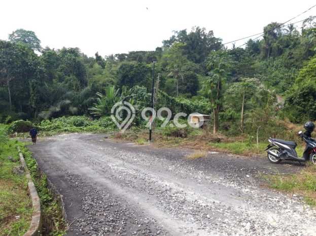 Lahan untuk Dijual Lokasi Kerambitan, Tabanan Luas 200m2 SHM Lahan untuk Dijual Lokasi Kerambitan, Tabanan Luas 200m2 SHM