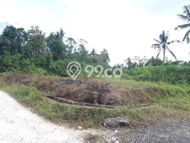 Lahan untuk Dijual Lokasi Kerambitan, Tabanan Luas 200m2 SHM Lahan untuk Dijual Lokasi Kerambitan, Tabanan Luas 200m2 SHM