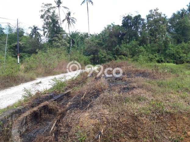 Lahan untuk Dijual Lokasi Kerambitan, Tabanan Luas 200m2 SHM Lahan untuk Dijual Lokasi Kerambitan, Tabanan Luas 200m2 SHM
