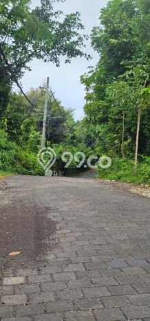 Untuk Disewa Tanah di Pecatu Badung Seluas 1000m2 Untuk Disewa Tanah di Pecatu Badung Seluas 1000m2