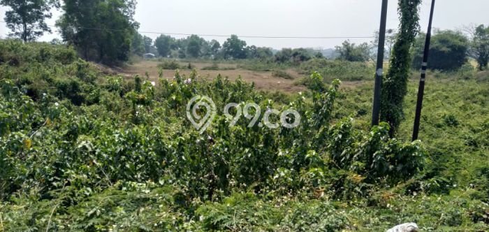 Dijual Tanah di Cikande Serang Luas 100000m2 SHM Dijual Tanah di Cikande Serang Luas 100000m2 SHM