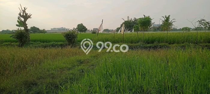 Tanah untuk Dijual di Cikande Serang Luas 90000m2 Tanah untuk Dijual di Cikande Serang Luas 90000m2