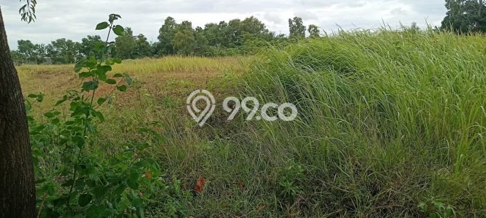 Tanah untuk Dijual di Cikande Serang Luas 90000m2 Tanah untuk Dijual di Cikande Serang Luas 90000m2