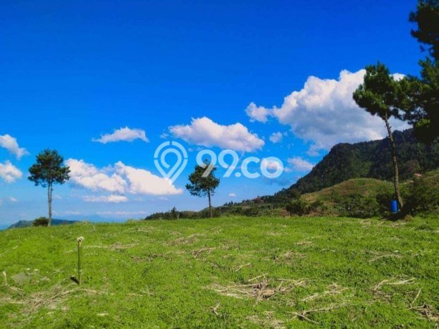 Tanah Kavling untuk Dijual di Bogor Timur Bogor 120m2 Tanah Kavling untuk Dijual di Bogor Timur Bogor 120m2