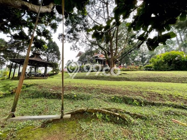 PELUANG INVESTASI! Vila Kawasan Cisarua, Luas 3960m2m², Potensi Bagus PELUANG INVESTASI! Vila Kawasan Cisarua, Luas 3960m2m², Potensi Bagus