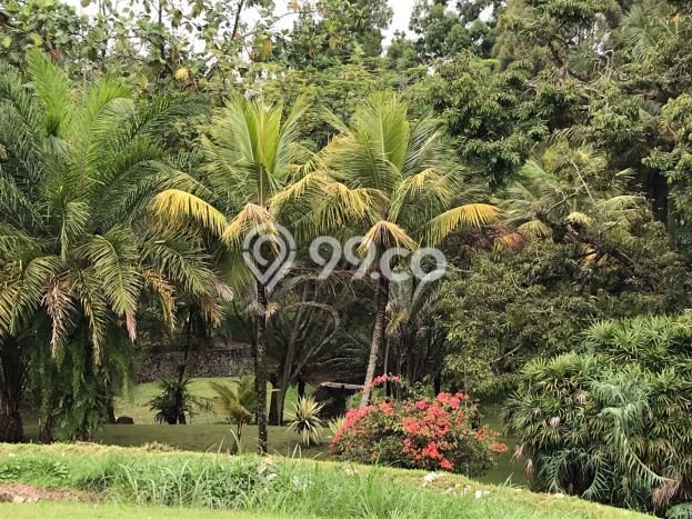 Tanah Kavling Dijual di Bogor dengan Spesifikasi 21427m2 Tanah Kavling Dijual di Bogor dengan Spesifikasi 21427m2