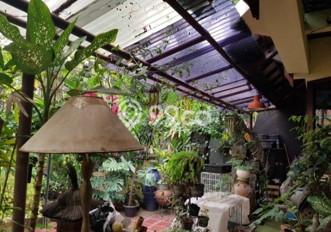 Siap Huni Hunian Elit 5 Kamar di Kebayoran Baru Dekat ke Mana Saja Siap Huni Hunian Elit 5 Kamar di Kebayoran Baru Dekat ke Mana Saja