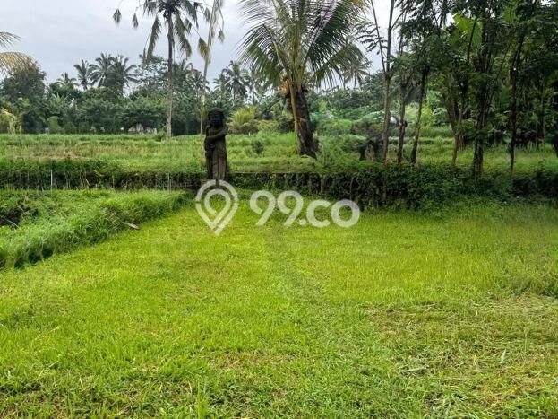 Kavling Tanah di Gianyar Dijual Luas 1235m2 Legalitas SHM Kavling Tanah di Gianyar Dijual Luas 1235m2 Legalitas SHM