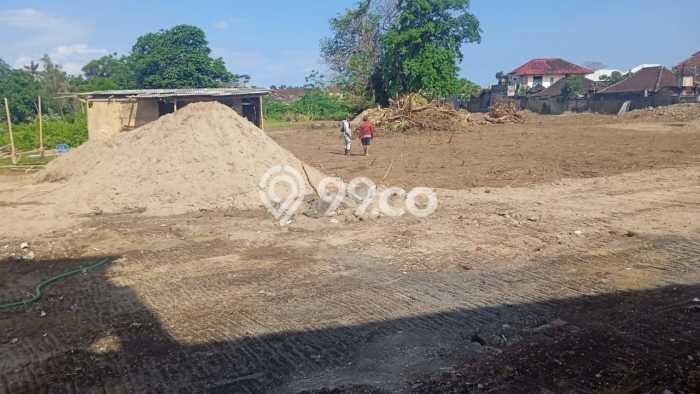 Tanah Kavling Disewakan di Tuban dengan Luas 200m2 Tanah Kavling Disewakan di Tuban dengan Luas 200m2