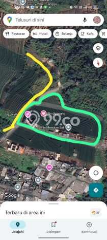 Tanah Dijual Area Strategis di Canggu Badung 5000m2 Tanah Dijual Area Strategis di Canggu Badung 5000m2