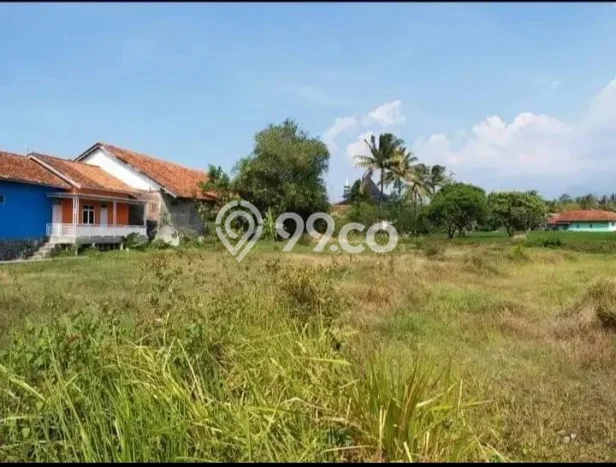 Tanah Kavling Dijual di Majalengka Kota, Majalengka dengan Luas Tanah 3647m2 Tanah Kavling Dijual di Majalengka Kota, Majalengka dengan Luas Tanah 3647m2