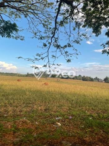 Tanah Kavling di Makassar Dijual dengan Luas 22000m2 Tanah Kavling di Makassar Dijual dengan Luas 22000m2