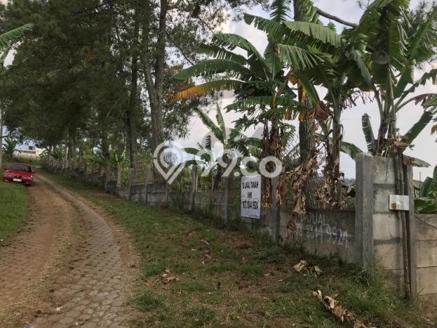 Tanah Dijual Lokasi Megamendung, Bogor Luas 5405m2 Legalitas Aman Tanah Dijual Lokasi Megamendung, Bogor Luas 5405m2 Legalitas Aman