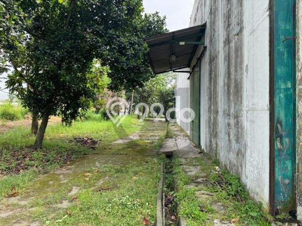 Pabrik Dijual di Cikande LT 21395m2, LB 1400m2 untuk Investasi Pabrik Dijual di Cikande LT 21395m2, LB 1400m2 untuk Investasi