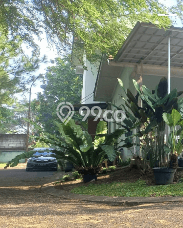 Rumah Luas Asri 2 KT Siap Pakai di Sektor 9-Bintaro Tangerang Selatan Rumah Luas Asri 2 KT Siap Pakai di Sektor 9-Bintaro Tangerang Selatan