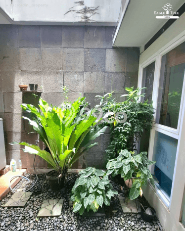 Rumah Modern 4 KT LT 108m2 di Sektor 9-Bintaro Rumah Modern 4 KT LT 108m2 di Sektor 9-Bintaro