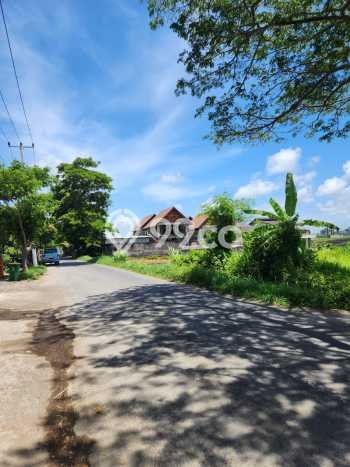 Tanah Kavling Dijual di Seseh, Badung dengan Luas Tanah 4275m2 Tanah Kavling Dijual di Seseh, Badung dengan Luas Tanah 4275m2