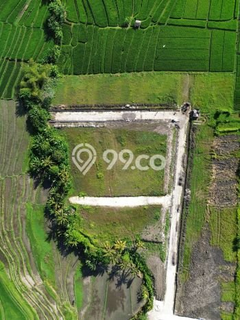 Tanah Kavling Dijual di Badung dengan Spesifikasi 390m2 Tanah Kavling Dijual di Badung dengan Spesifikasi 390m2
