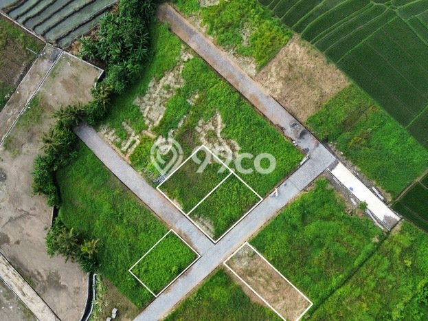 Tanah Dijual di Badung Seluas 390m2 Strategis Tanah Dijual di Badung Seluas 390m2 Strategis