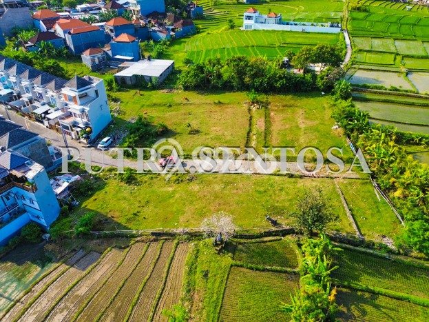 Tanah Kavling Dijual di Munggu, Badung dengan Luas Tanah 3490m2 Tanah Kavling Dijual di Munggu, Badung dengan Luas Tanah 3490m2