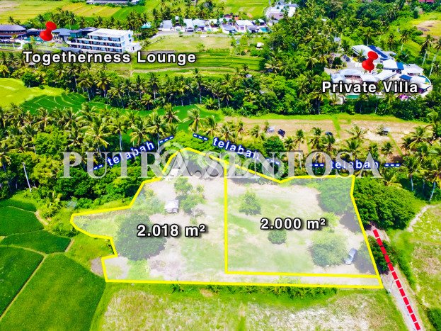 For Sale Tanah Kawasan Ubud, Luas 4018m2m², Dekat Ubud, Gianyar, Gianyar For Sale Tanah Kawasan Ubud, Luas 4018m2m², Dekat Ubud, Gianyar, Gianyar