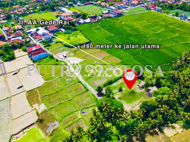 For Sale Tanah Kawasan Ubud, Luas 4018m2m², Dekat Ubud, Gianyar, Gianyar For Sale Tanah Kawasan Ubud, Luas 4018m2m², Dekat Ubud, Gianyar, Gianyar