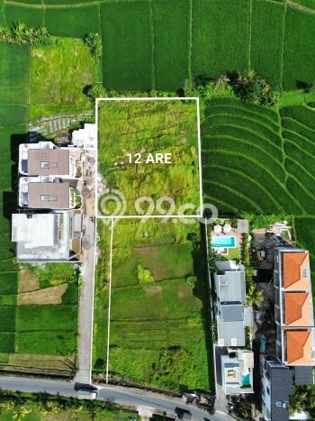 Tanah Kawasan , Luas 1200m2m², Status SHM, Akses Badung, Badung Tanah Kawasan , Luas 1200m2m², Status SHM, Akses Badung, Badung