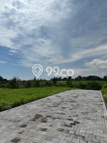 Kavling Tanah untuk Dijual di Canggu, Badung, Luas 442m2 Kavling Tanah untuk Dijual di Canggu, Badung, Luas 442m2